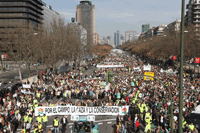 20090217134527-manifestacion.gif